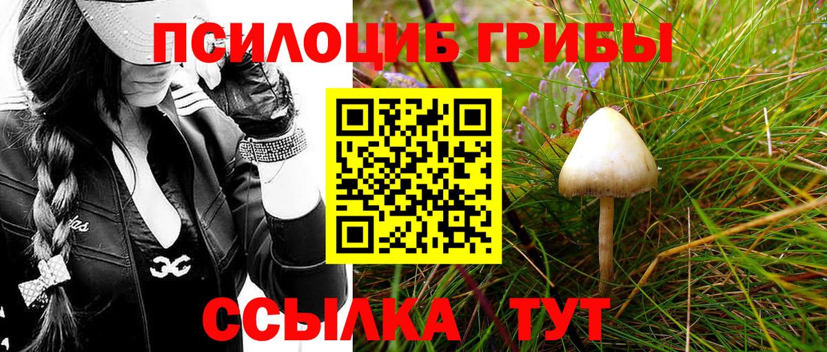 Ликино-Дулёво  Псилоцибиновые грибы MAGIC MUSHROOMS  Вход с VPN 